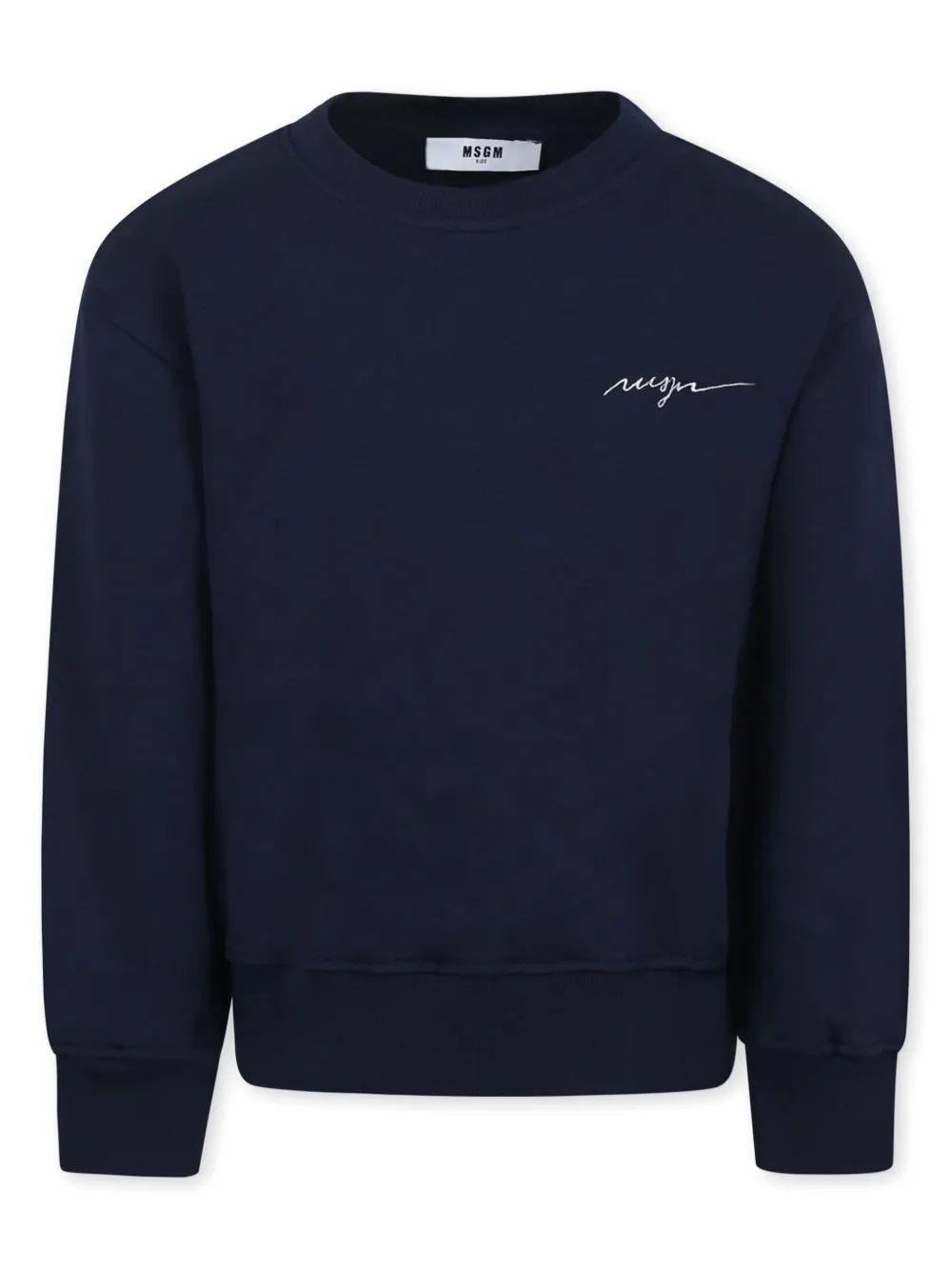 Толстовка с вышитым логотипом MSGM Kids, синий
Толстовка с вышитым логотипом MSGM Kids, синий