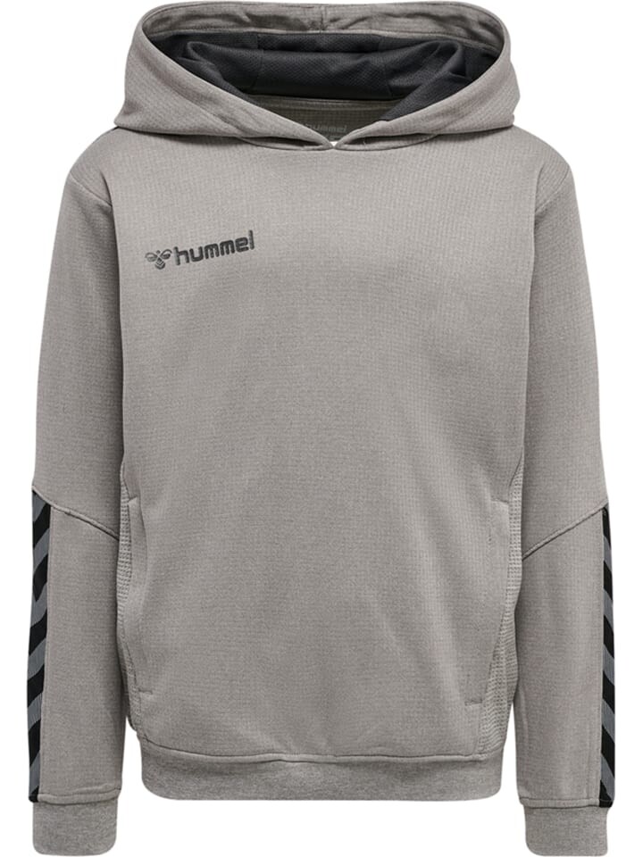 Худи Hummel Poly Hmlauthentic Multisport Kinder, цвет grey melange 
Худи Hummel Poly Hmlauthentic Multisport Kinder, цвет grey melange