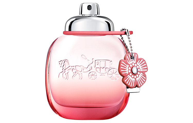 Парфюмерная вода Coach Floral Blush, 50 мл
Парфюмерная вода Coach Floral Blush, 50 мл
