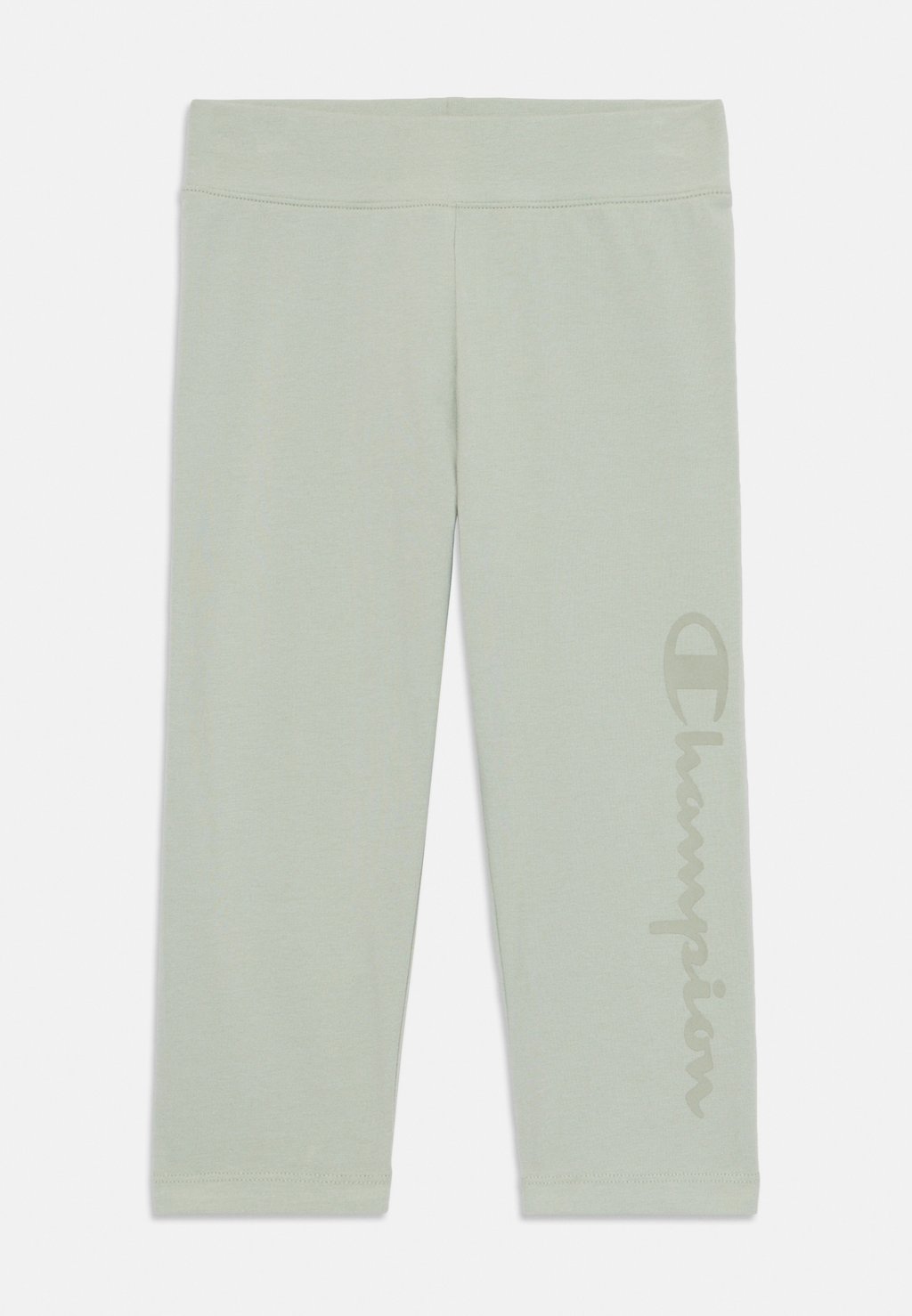 Леггинсы ICONS WITH LARGE LOGO Champion, светло-зеленый
Леггинсы ICONS WITH LARGE LOGO Champion, светло-зеленый