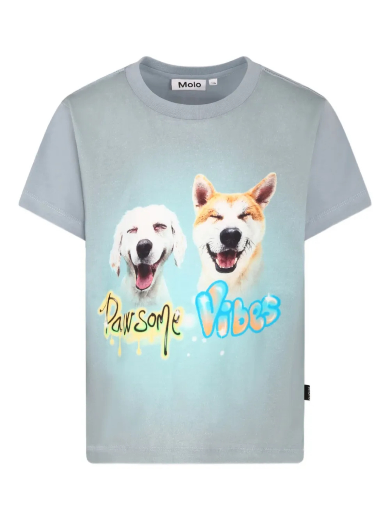 Футболка с графическим принтом Molo, синий
Футболка с графическим принтом Molo, синий