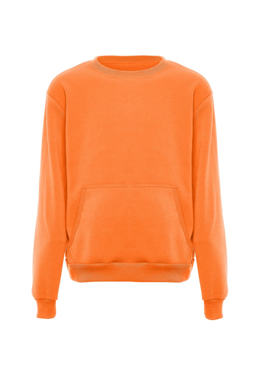 Толстовка Mo Sweatshirt, Orange
Толстовка Mo Sweatshirt, Orange