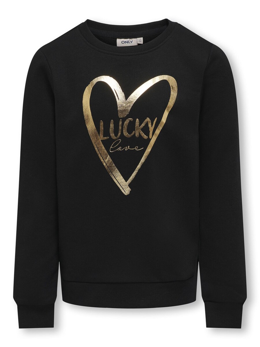 Толстовка ONLY GIRLS KOGMARY, черный
Толстовка ONLY GIRLS KOGMARY, черный