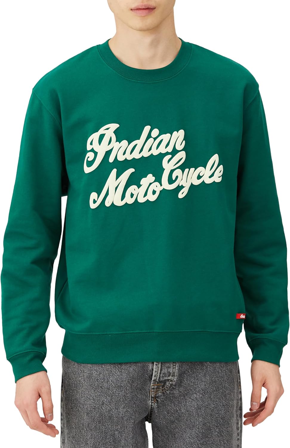 Индийская толстовка с логотипом, напечатанным на пенопласте Indian, зеленый
Индийская толстовка с логотипом, напечатанным на пенопласте Indian, зеленый