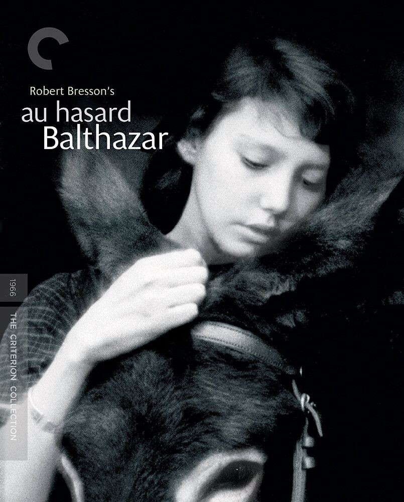 Диск Blu-ray Au Hasard Balthazar
Диск Blu-ray Au Hasard Balthazar