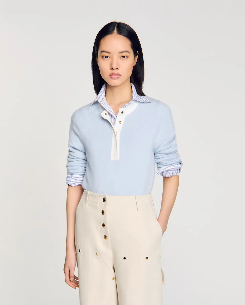 Женский джемпер из шерсти и кашемира Sandro, светло-голубой
Женский джемпер из шерсти и кашемира Sandro, светло-голубой