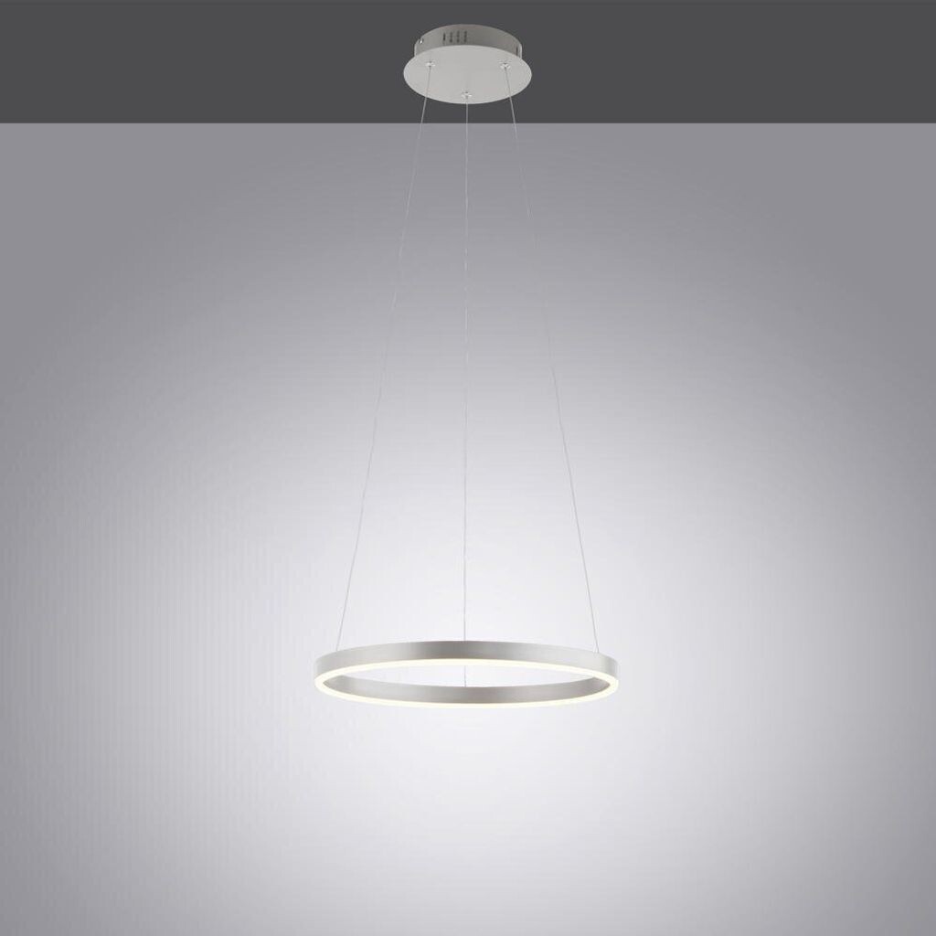 Just Light Светодиодный подвесной светильник Ritus в серебре 20Вт 2650лм, серебро
Just Light Светодиодный подвесной светильник Ritus в серебре 20Вт 2650лм, серебро