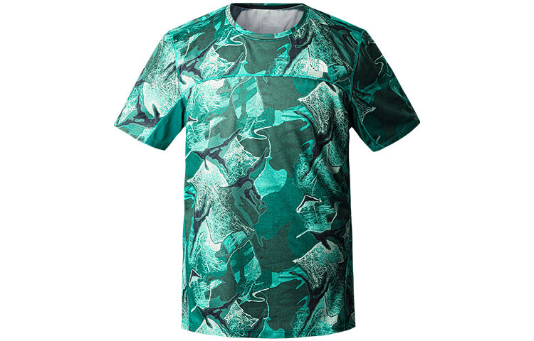 Футболка мужская зеленая The North Face, зеленый
Футболка мужская зеленая The North Face, зеленый