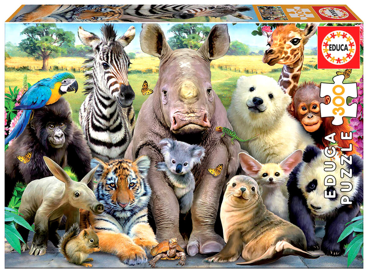 Educa, пазл, Class Photo, 300 шт.
Educa, пазл, Class Photo, 300 шт.