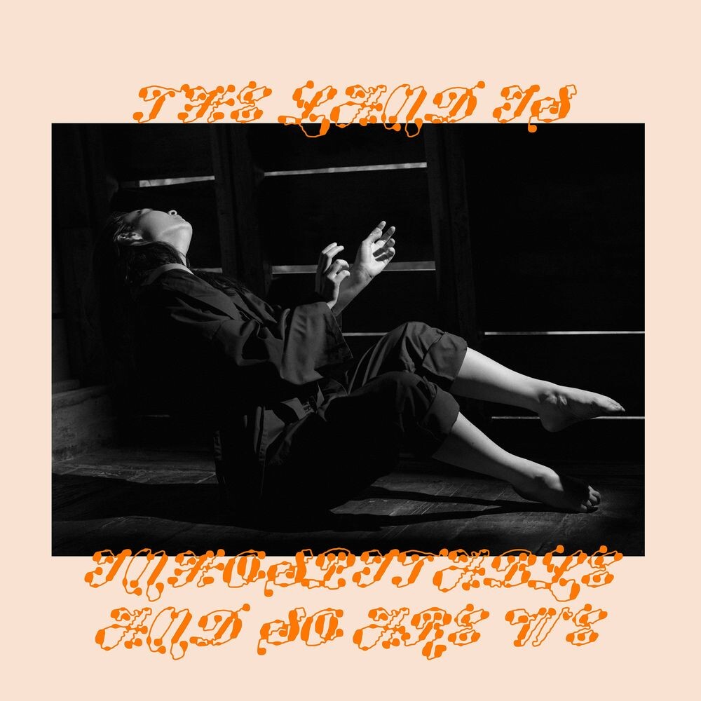 Виниловая пластинка LP The Land Is Inhospitable & So Are We - Mitski
Виниловая пластинка LP The Land Is Inhospitable & So Are We - Mitski