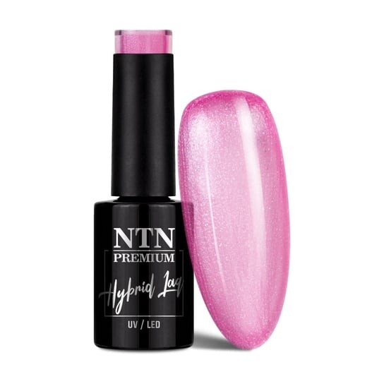 Цветной гибридный лак для ногтей, 5 г NTN Premium, 254 Impression
Цветной гибридный лак для ногтей, 5 г NTN Premium, 254 Impression