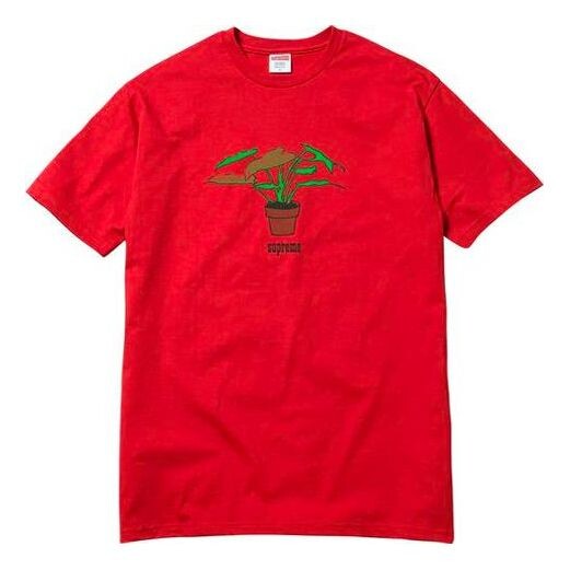 Футболка fw17 plant tee pale red bonsai printing short sleeve Supreme, красный
Футболка fw17 plant tee pale red bonsai printing short sleeve Supreme, красный