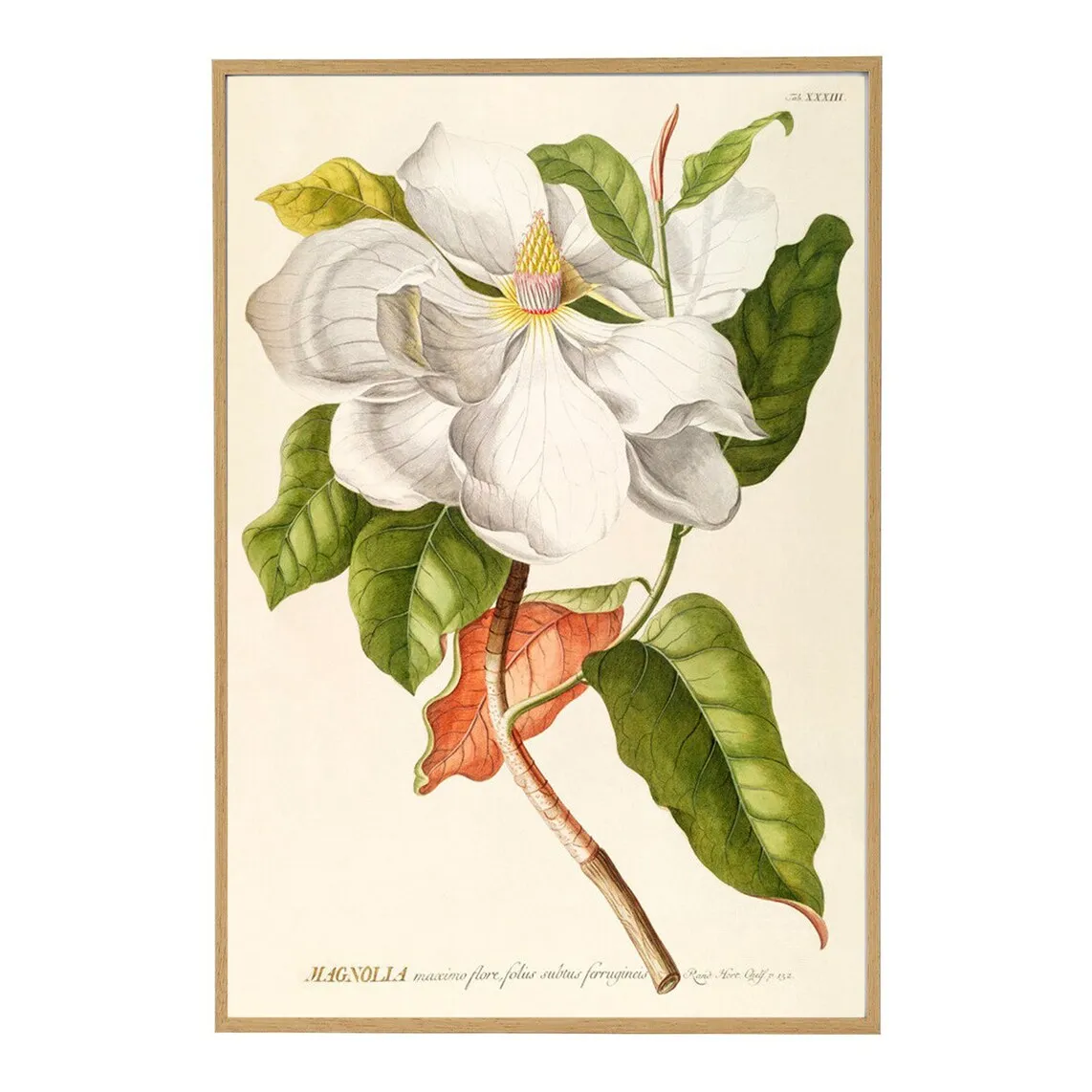 FND WHT Flowers PSTR Студийный лист + рамка для домашнего офиса El Corte Inglés
FND WHT Flowers PSTR Студийный лист + рамка для домашнего офиса El Corte Inglés