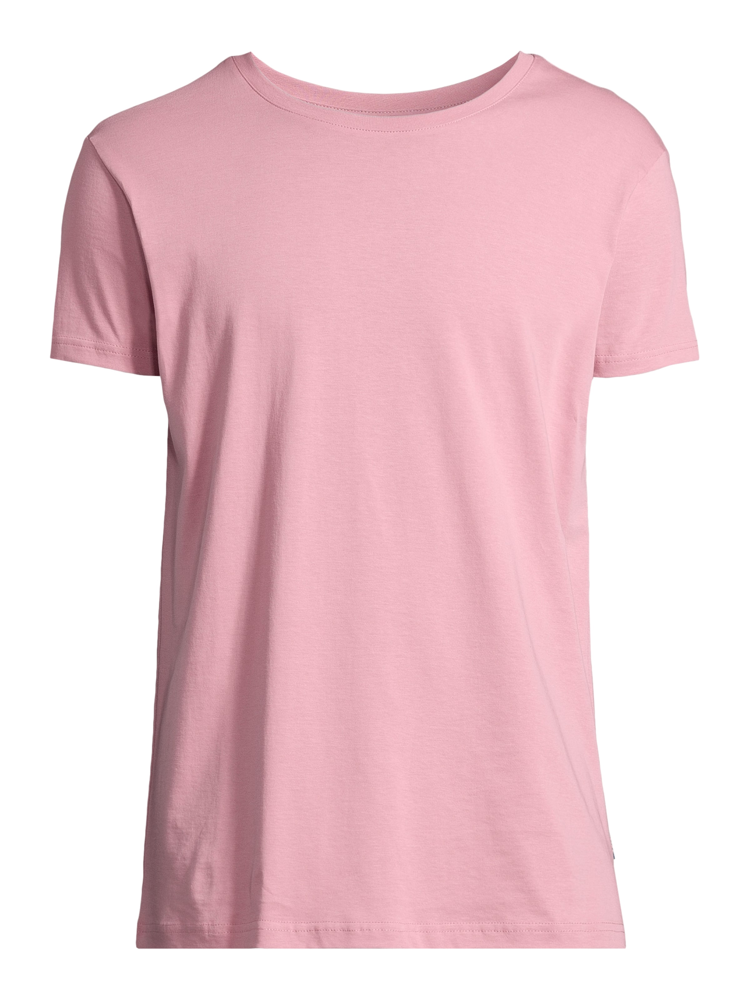 Salzhaut Футболка 'DIEK' в цвете Rose
Salzhaut Футболка 'DIEK' в цвете Rose