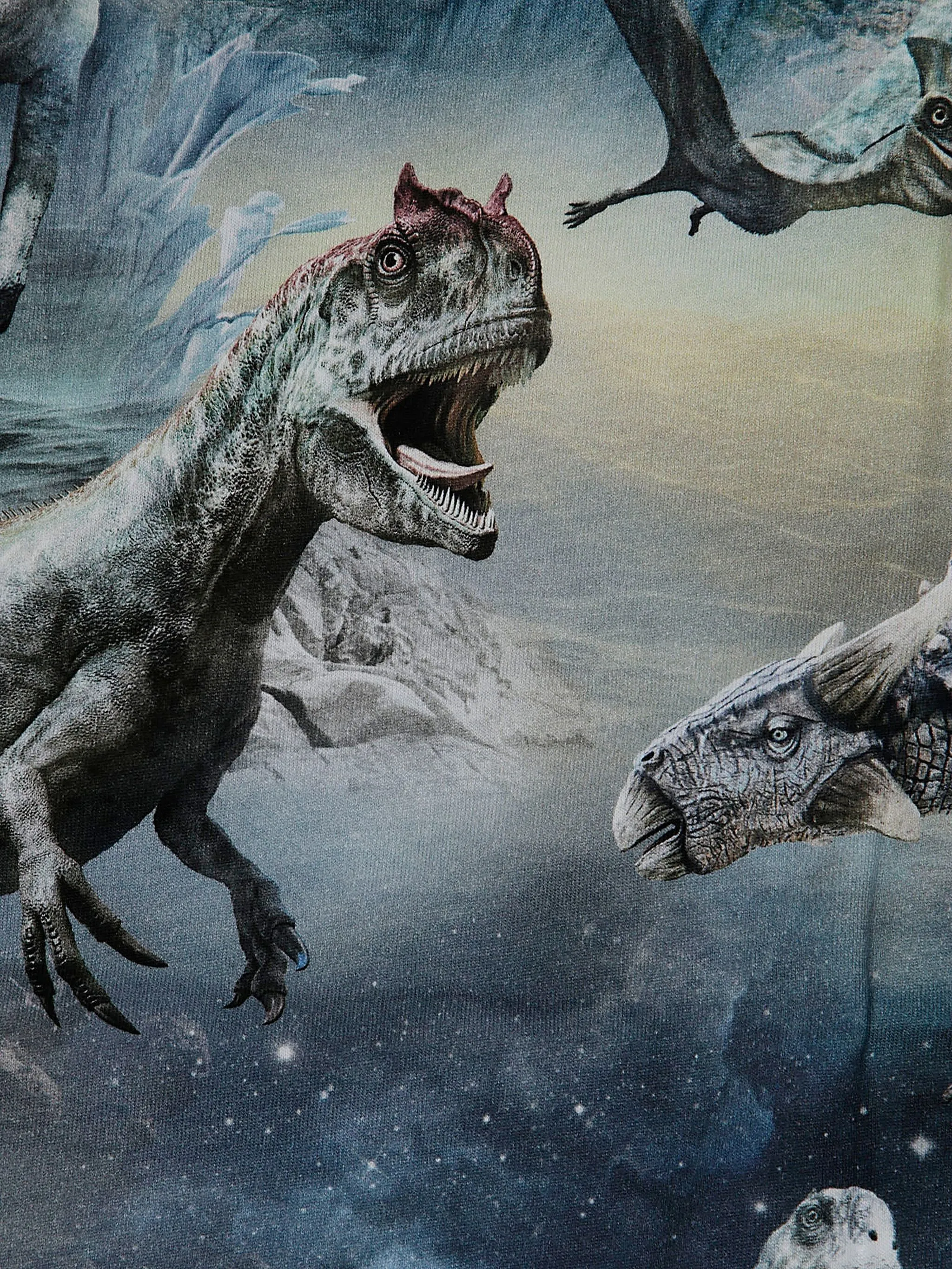 Футболка с принтом Molo, синий
Футболка с принтом Molo, синий