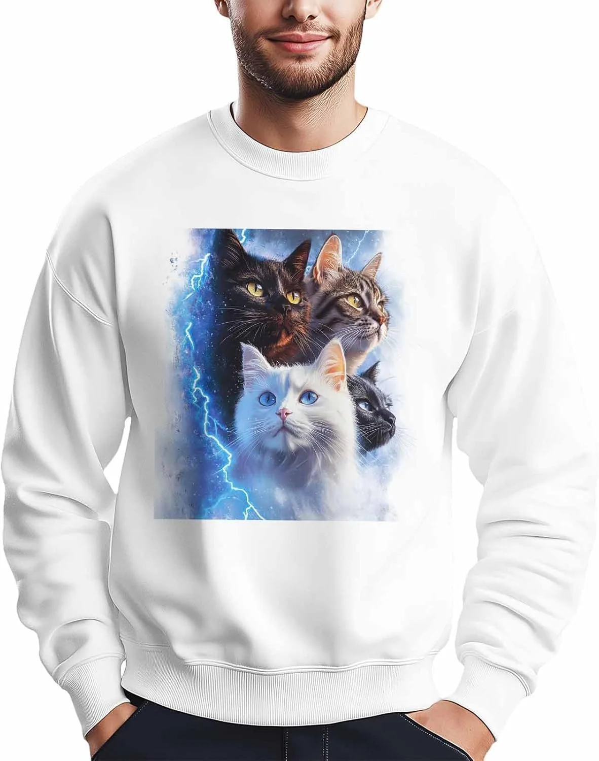 Мужской свитшот с принтом "Cat Enthusiast Lightning Cat" Winvebermior
Мужской свитшот с принтом "Cat Enthusiast Lightning Cat" Winvebermior