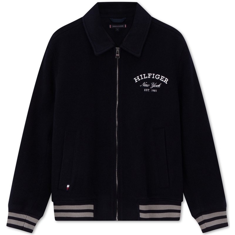 Куртка мужская синяя Tommy Hilfiger, синяя DW5, Синий, Куртка мужская синяя Tommy Hilfiger, синяя DW5
Куртка мужская синяя Tommy Hilfiger, синяя DW5, Синий, Куртка мужская синяя Tommy Hilfiger, синяя DW5