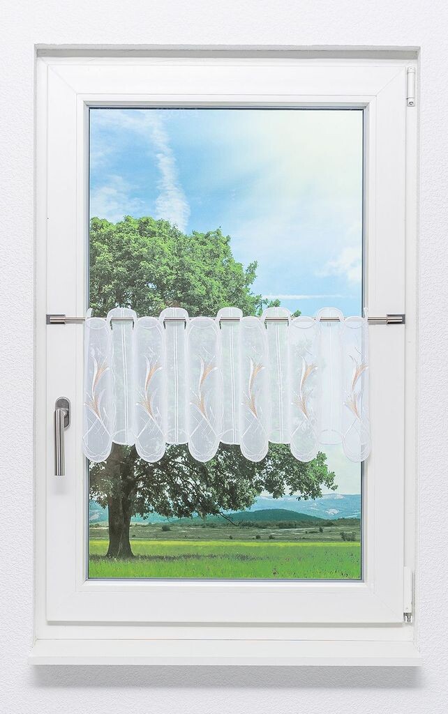 Панельная штора от Plauener Spitze - чашечки цветов (Ш х В) 229,6см*30см бежевый/бежевый
Панельная штора от Plauener Spitze - чашечки цветов (Ш х В) 229,6см*30см бежевый/бежевый