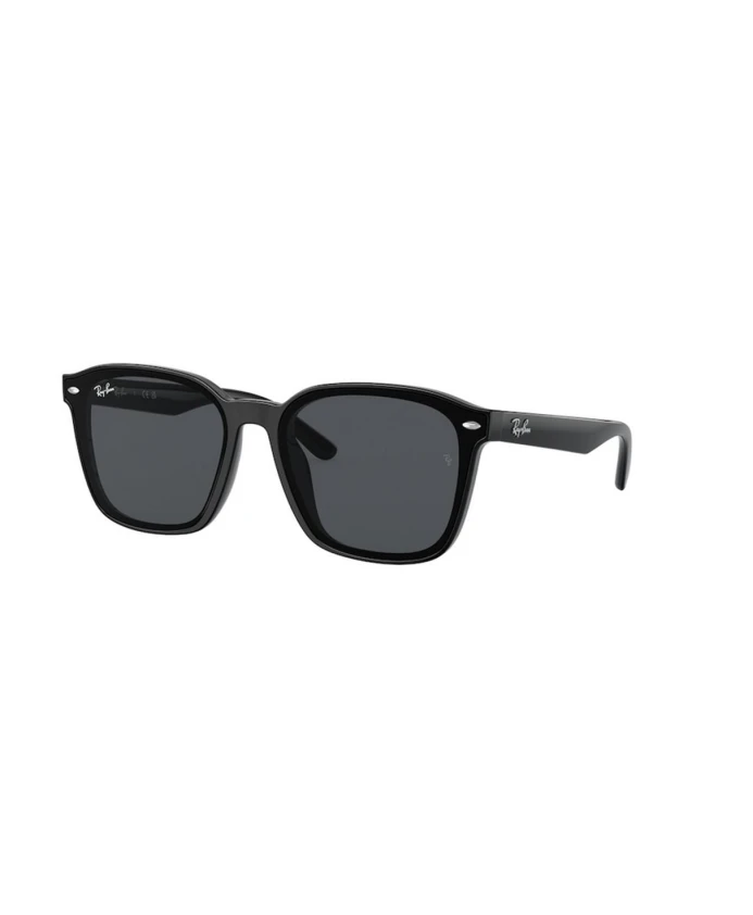 Солнцезащитные очки Rb4392D Ray-Ban, черный
Солнцезащитные очки Rb4392D Ray-Ban, черный