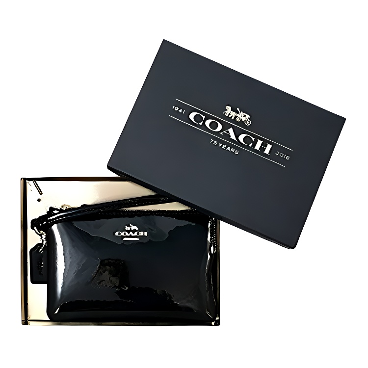 COACH Кожаный клатч Boxed для женщин черный
COACH Кожаный клатч Boxed для женщин черный