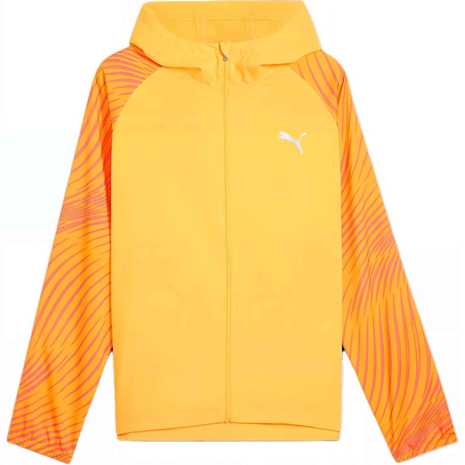 Куртка мужская Sunlight Yellow Puma
Куртка мужская Sunlight Yellow Puma
