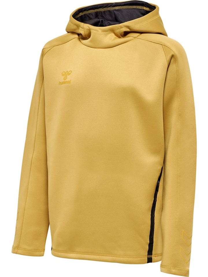 Детская толстовка в золоте Hummel
Детская толстовка в золоте Hummel