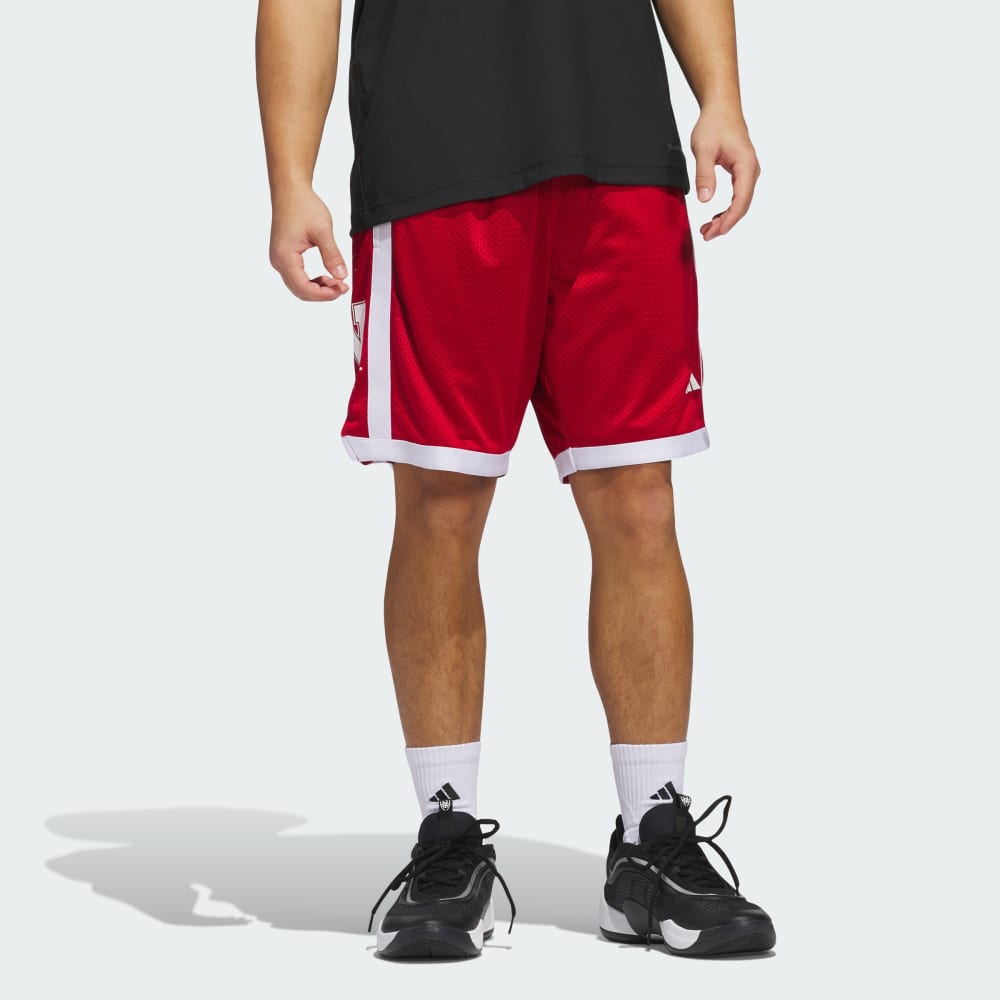 Спортивные шорты Adidas Nebraska Swingman Short, цвет Team Power Red/White
Спортивные шорты Adidas Nebraska Swingman Short, цвет Team Power Red/White
