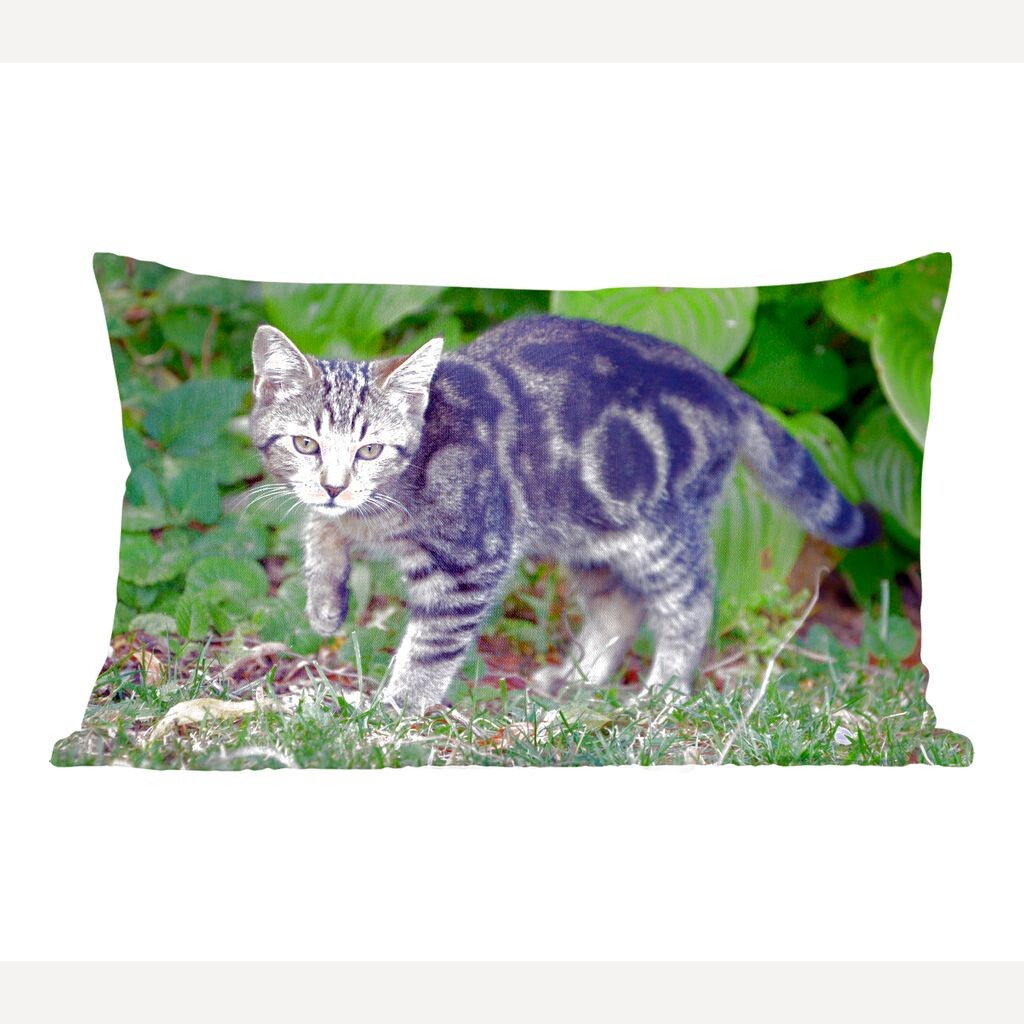 MuchoWow Cats - Young Cat - 50x30 см - Чехлы на диванные подушки - без наполнителя
MuchoWow Cats - Young Cat - 50x30 см - Чехлы на диванные подушки - без наполнителя