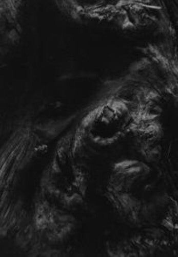 CD диск Paysage D'Hiver: Steineiche 
CD диск Paysage D'Hiver: Steineiche