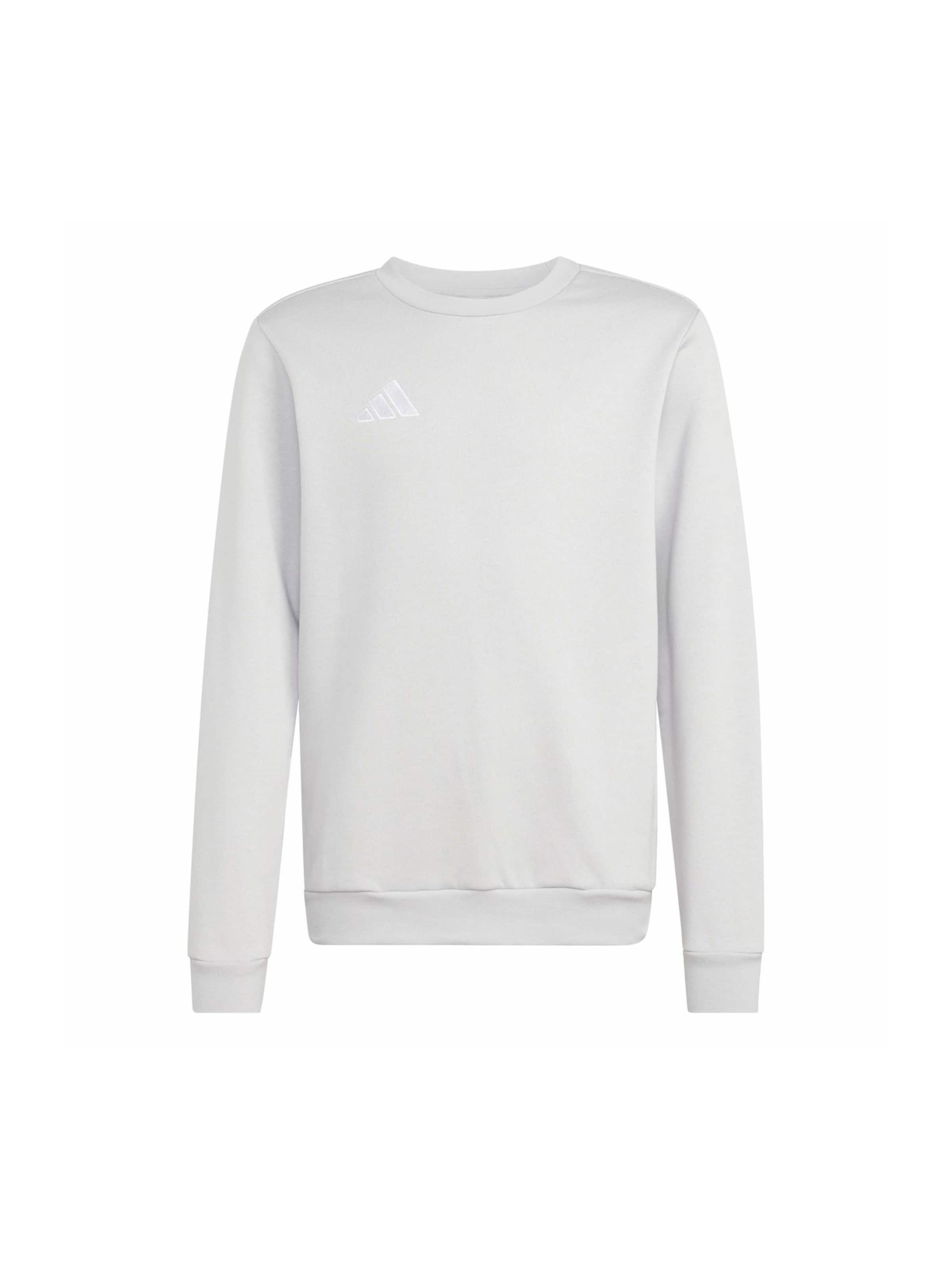 Adidas Performance Спортивная толстовка 'ENT26' в светло-сером цвете
Adidas Performance Спортивная толстовка 'ENT26' в светло-сером цвете