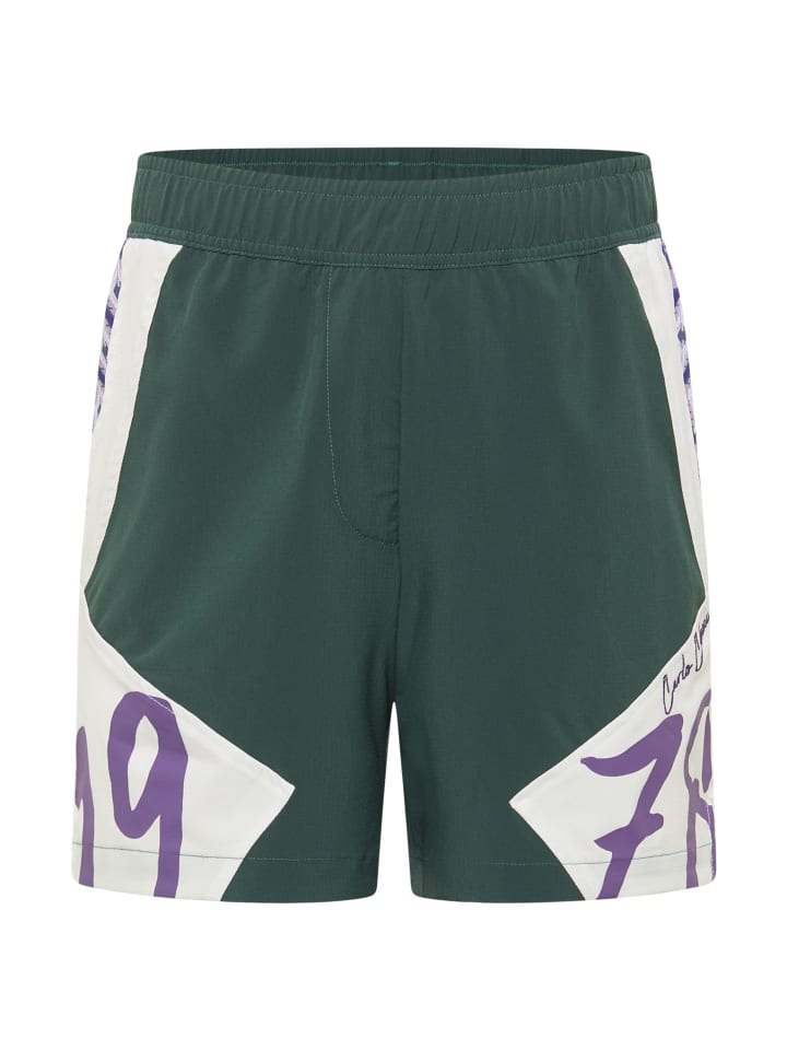 Carlo Colucci Функциональные шорты Fasano зеленого цвета
Carlo Colucci Функциональные шорты Fasano зеленого цвета