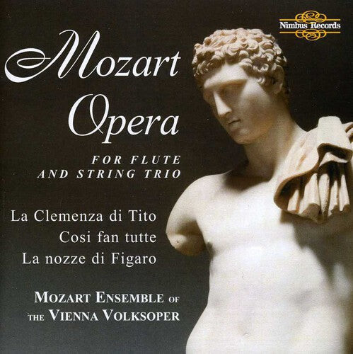 CD диск Mozart / Mozart Ensemble of the Vienna Volksoper: Opera for Flute & Steing Trio
CD диск Mozart / Mozart Ensemble of the Vienna Volksoper: Opera for Flute & Steing Trio
