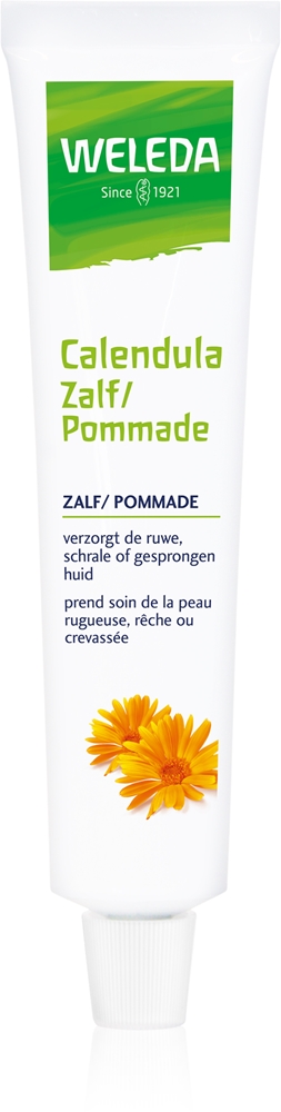 Мазь календулы для очень сухой кожи Weleda, 25 гр
Мазь календулы для очень сухой кожи Weleda, 25 гр