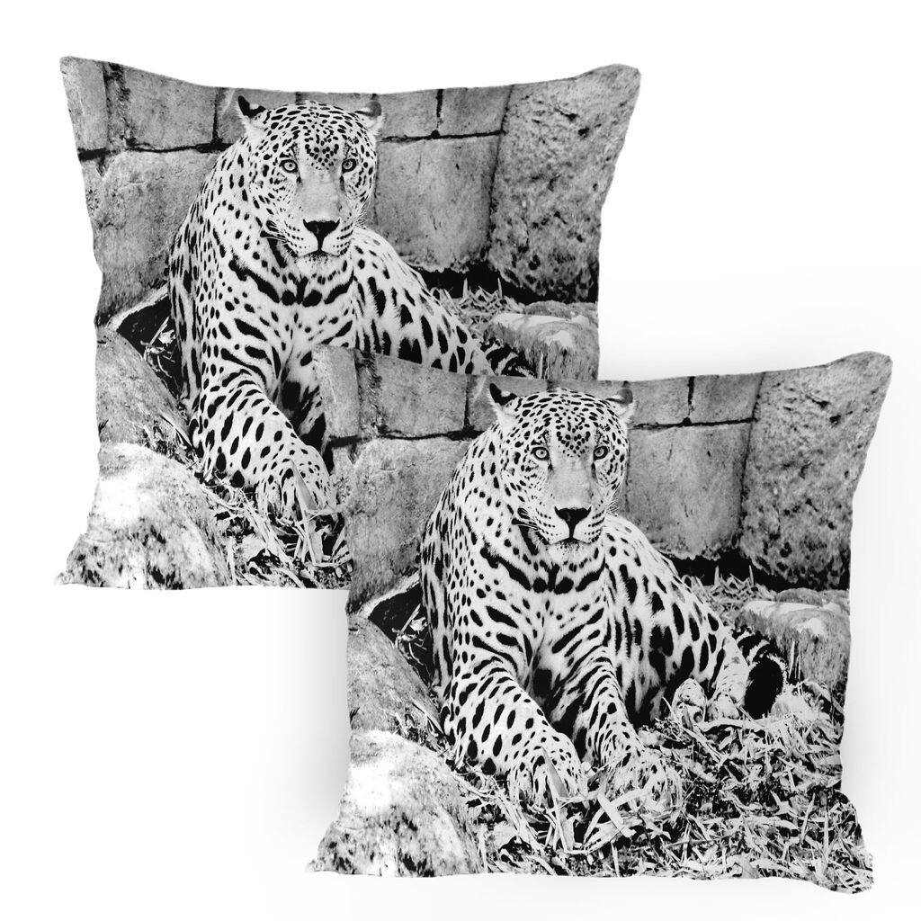 ABAKUHAUS Черно-белые чехлы на подушку, набор из 2 шт., Jaguar Big Cat Theme Feline Dots Body Fur Jungle Tiger Leopard, Чехол на подушку с декоративным принтом, 80 x 80 см, белый черный
ABAKUHAUS Черно-белые чехлы на подушку, набор из 2 шт., Jaguar Big Cat Theme Feline Dots Body Fur Jungle Tiger Leopard, Чехол на подушку с декоративным принтом, 80 x 80 см, белый черный