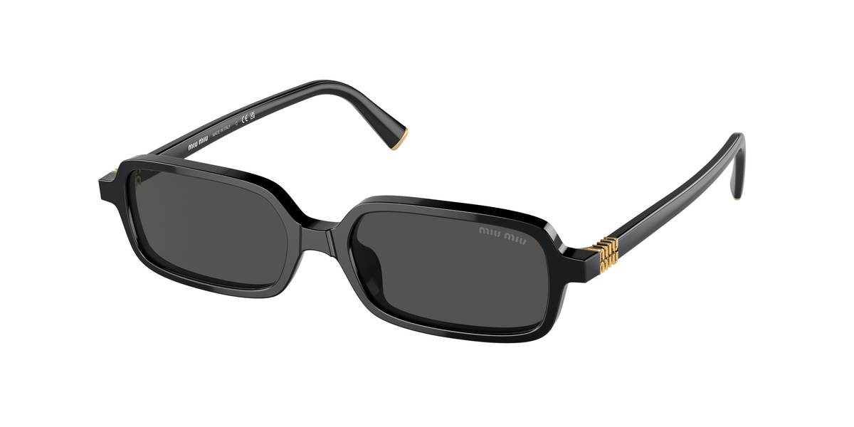 Женские солнцезащитные очки MU 11ZS MIU MIU, black
Женские солнцезащитные очки MU 11ZS MIU MIU, black