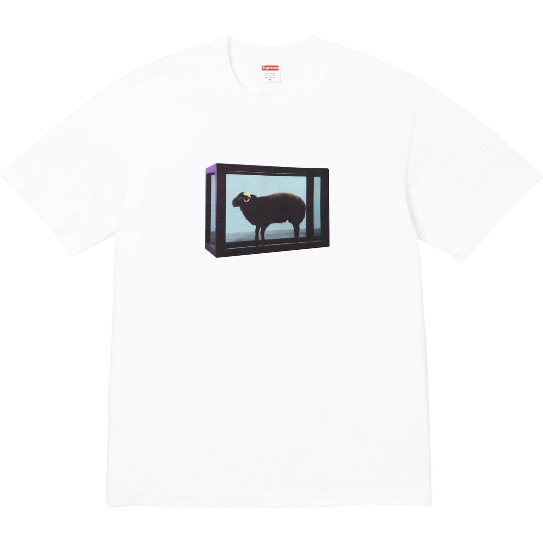 Футболка Damien Hirst Supreme, белый
Футболка Damien Hirst Supreme, белый