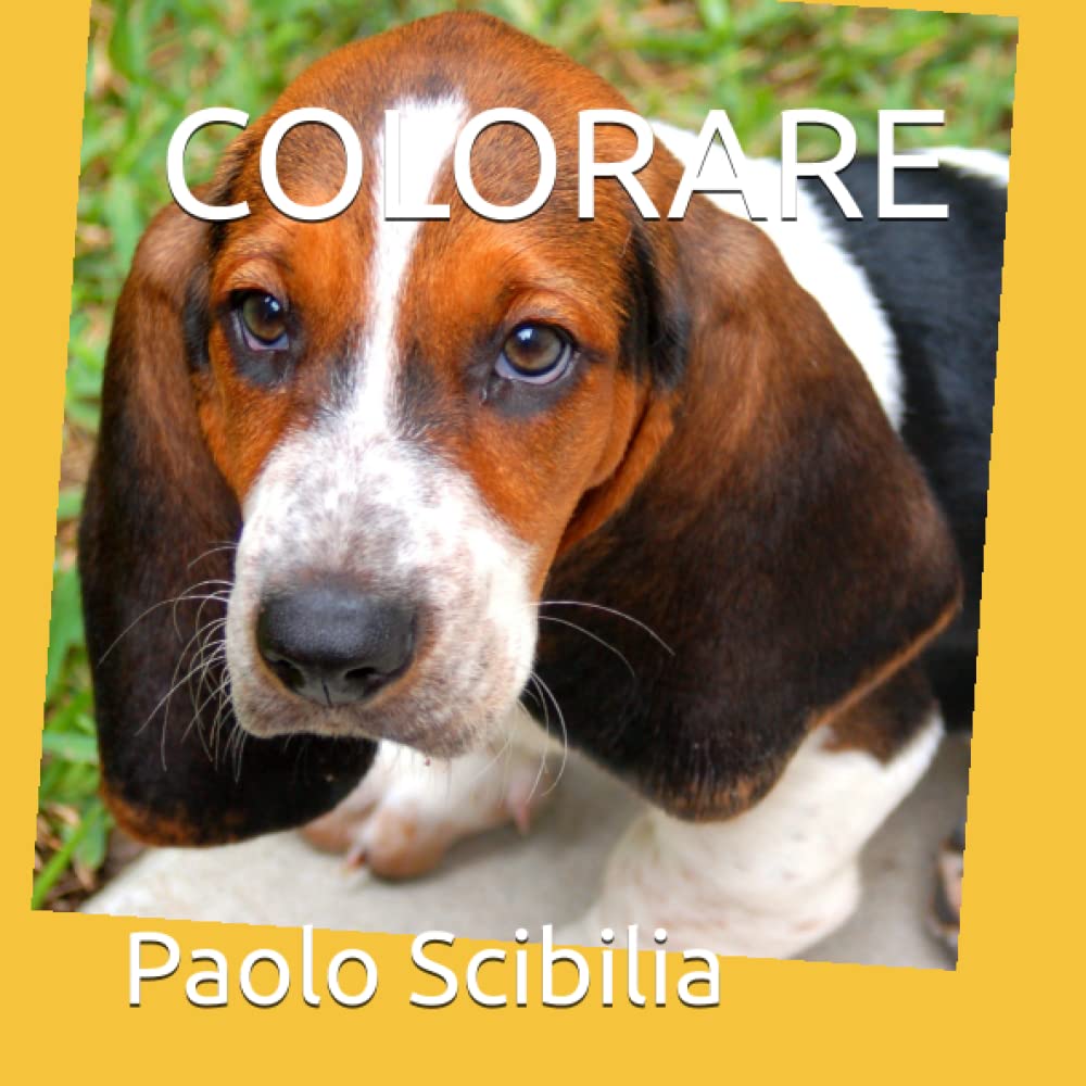 COLORARE (Italian Edition) (Independently published)
COLORARE (Italian Edition) (Independently published)