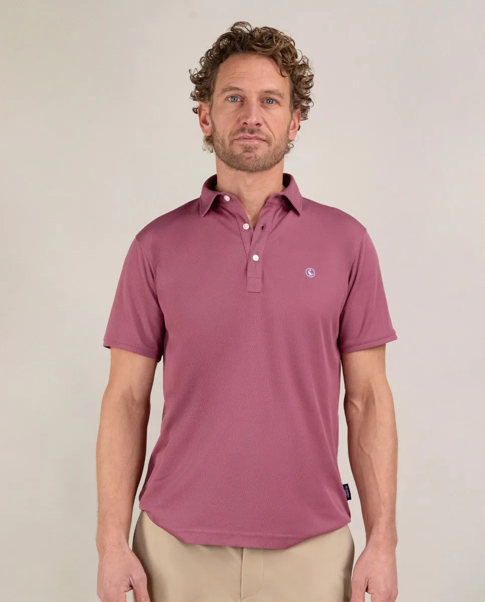 Мужское поло Sepiia Plain El Ganso, гранатовый
Мужское поло Sepiia Plain El Ganso, гранатовый