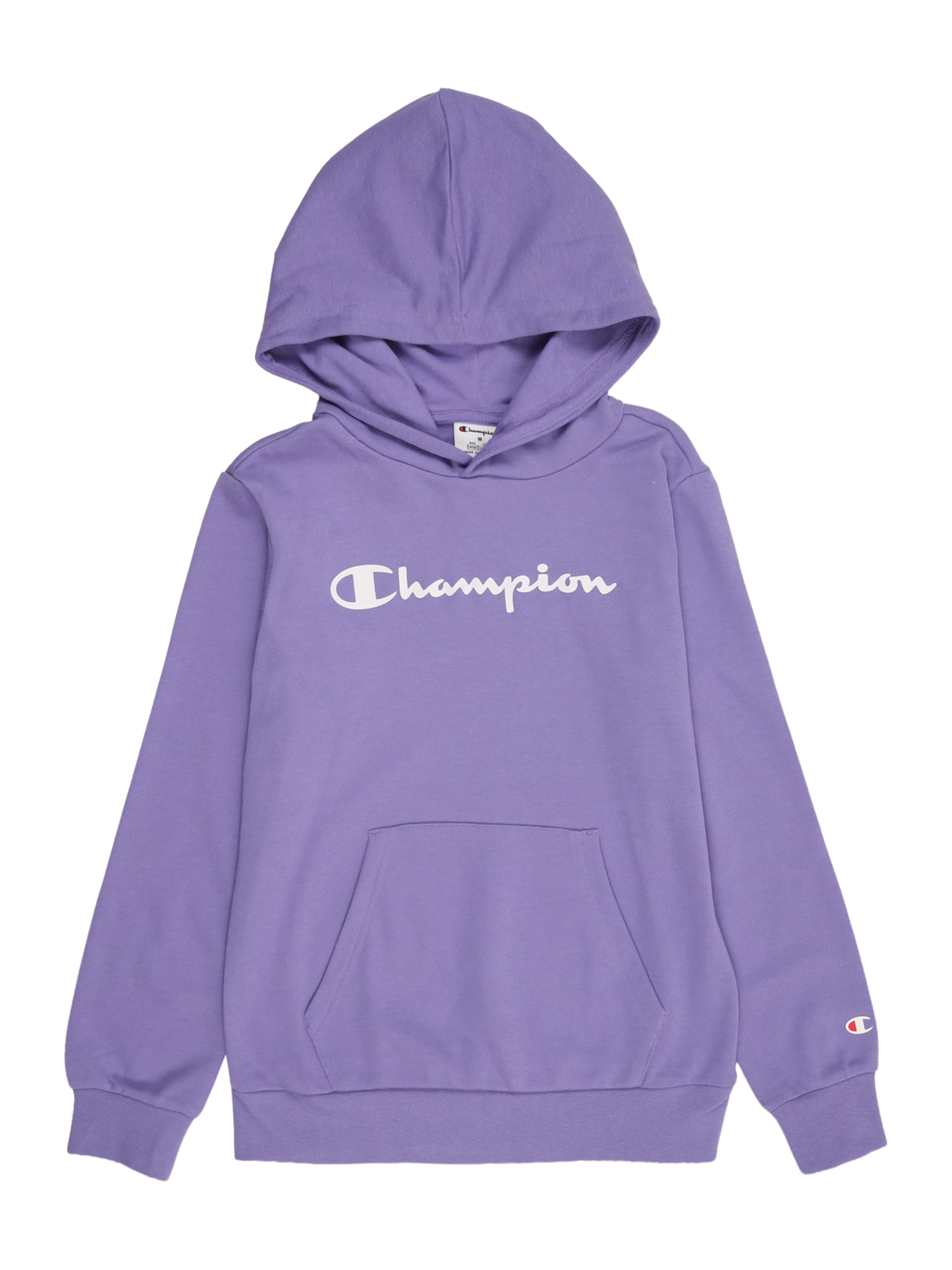 Champion Authentic Athletic Apparel Толстовка в фиолетовом цвете
Champion Authentic Athletic Apparel Толстовка в фиолетовом цвете