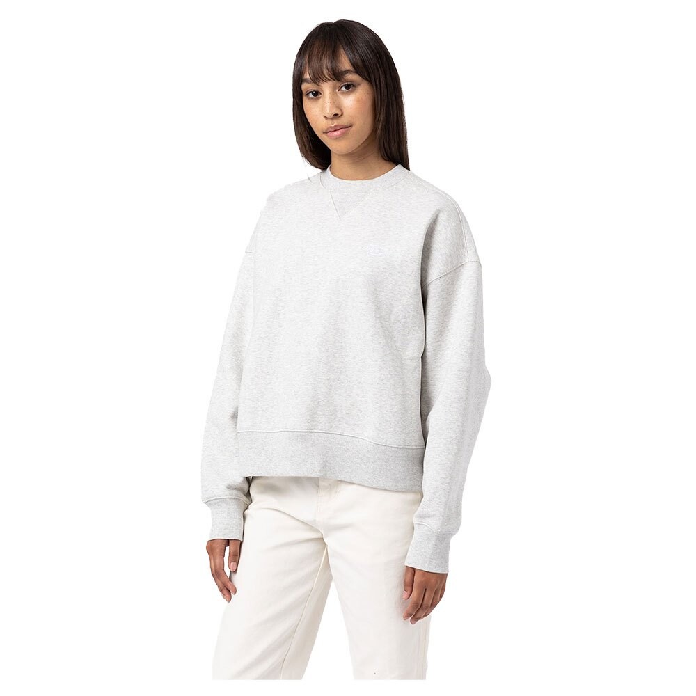 Толстовка Dickies Summerdale, белый
Толстовка Dickies Summerdale, белый