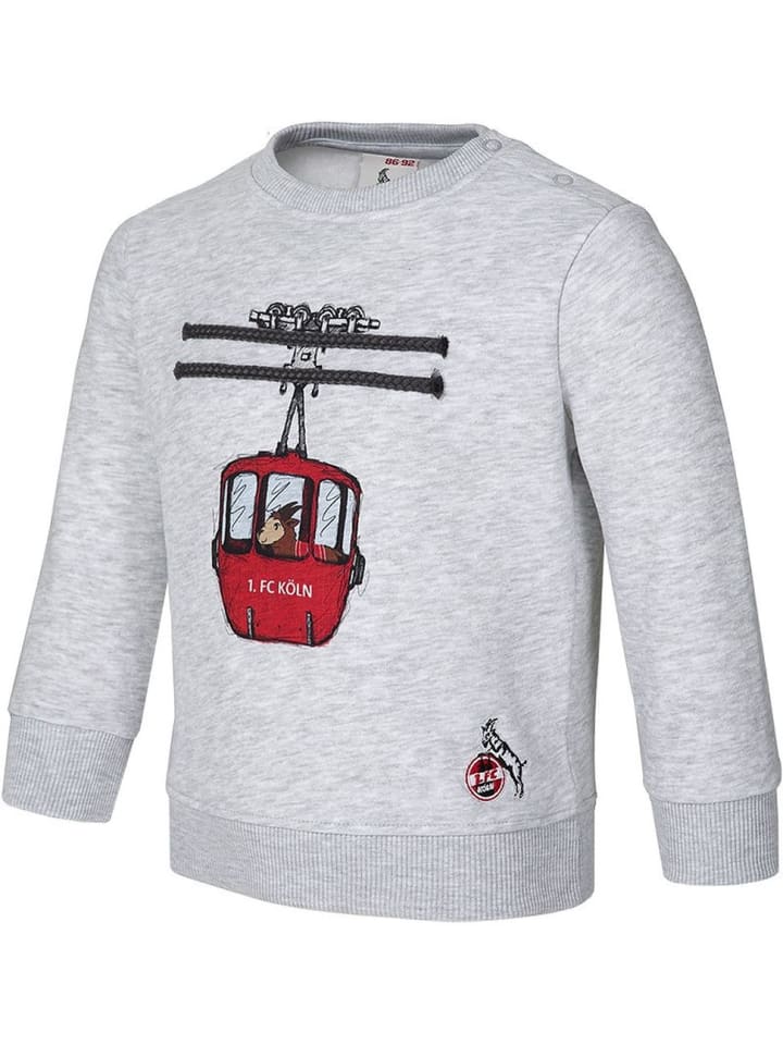 Fußballverein 1. FC Köln Детская толстовка "Sachsenbergstraße" серого цвета
Fußballverein 1. FC Köln Детская толстовка "Sachsenbergstraße" серого цвета