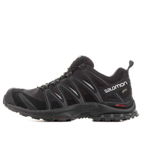 Кроссовки xa pro 3d gtx 'black' 393322 Salomon, черный
Кроссовки xa pro 3d gtx 'black' 393322 Salomon, черный