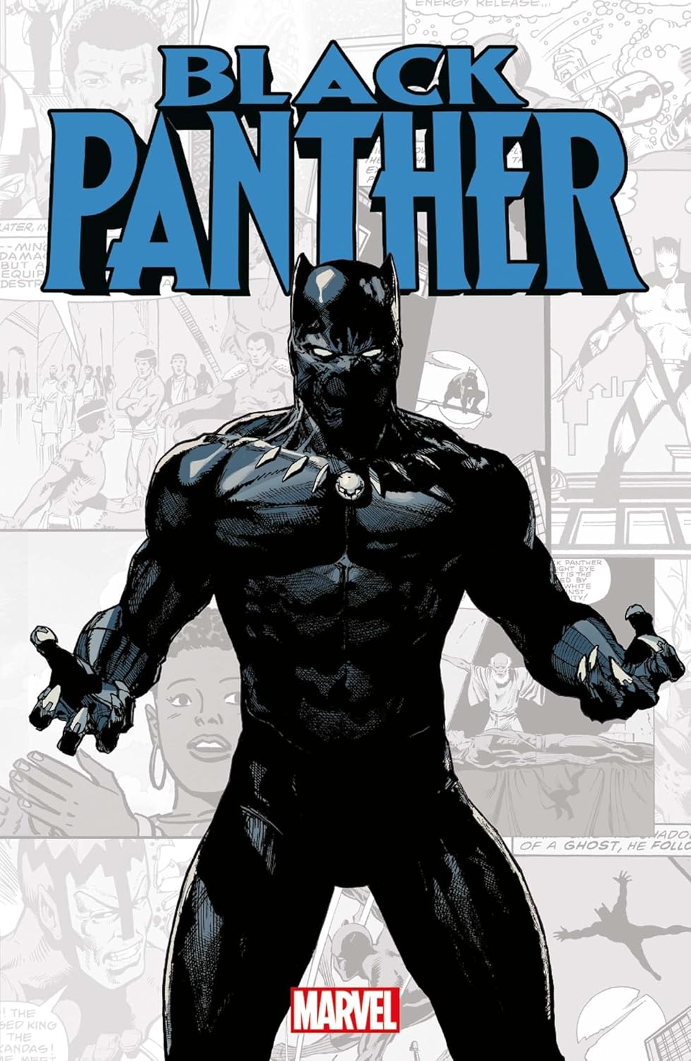 Marvel-Verse : Black Panther (PANINI)
Marvel-Verse : Black Panther (PANINI)