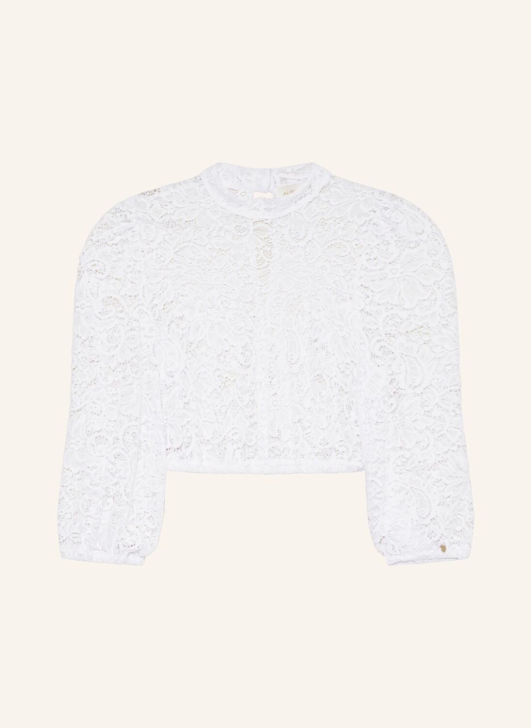 Блуза дирндль Зоя из кружева Alpenherz, белый
Блуза дирндль Зоя из кружева Alpenherz, белый