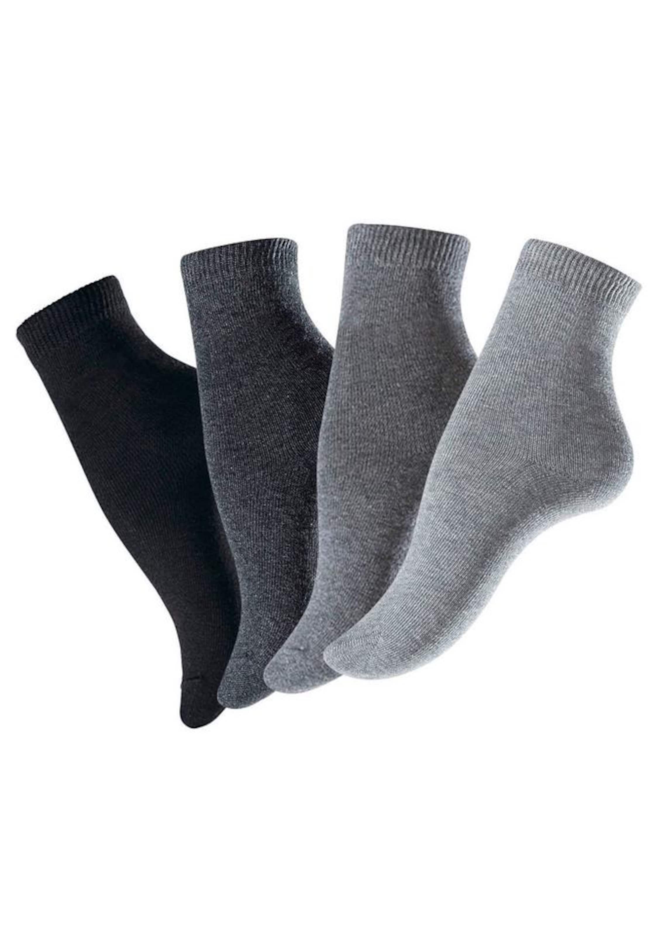 H.I.S Носки в цветах Grey, Anthracite, Basalt Grey, Smoke Grey
H.I.S Носки в цветах Grey, Anthracite, Basalt Grey, Smoke Grey
