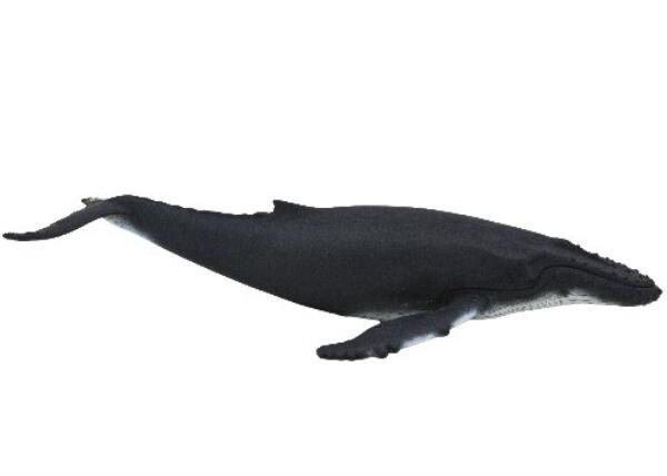 ANIMAL PLANET 7119 Горбатый кит Делюкс (GXP-532723) Mojo
ANIMAL PLANET 7119 Горбатый кит Делюкс (GXP-532723) Mojo