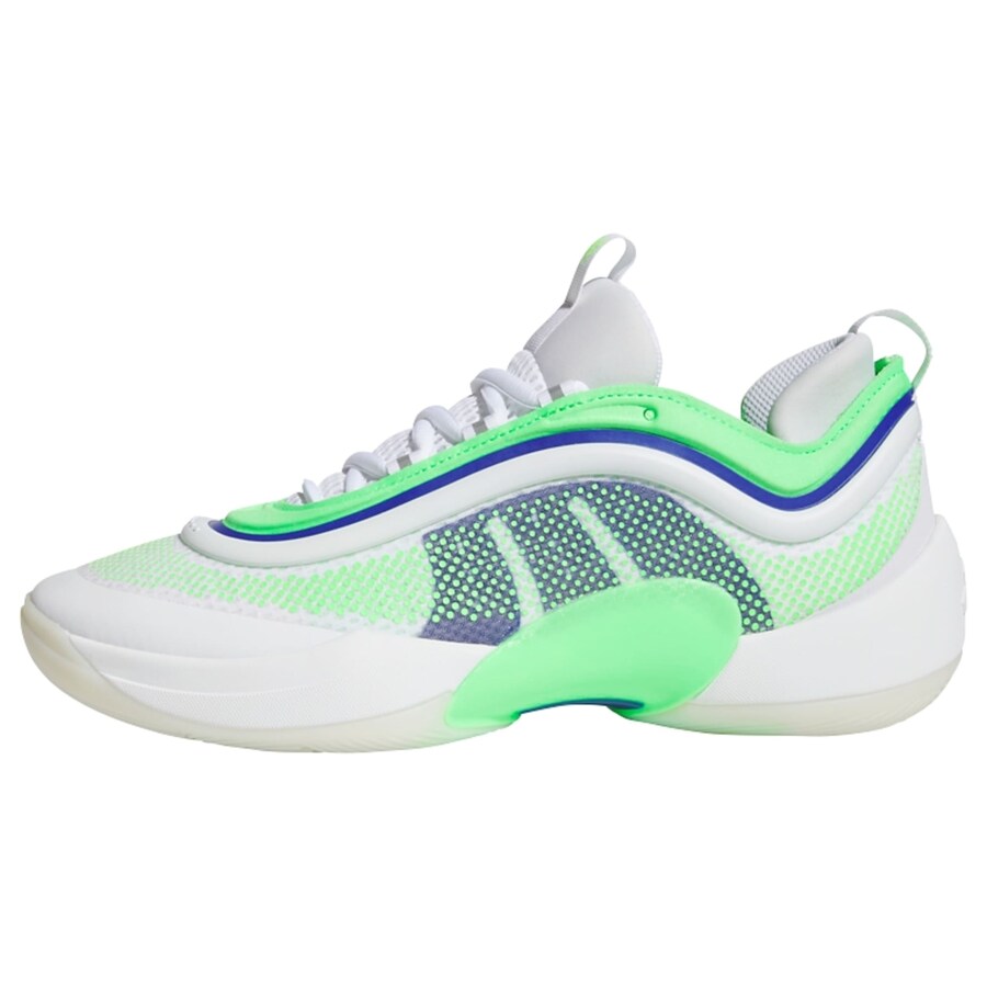 Спортивная обувь ADIDAS PERFORMANCE D.O.N. Issue 6, белый
Спортивная обувь ADIDAS PERFORMANCE D.O.N. Issue 6, белый