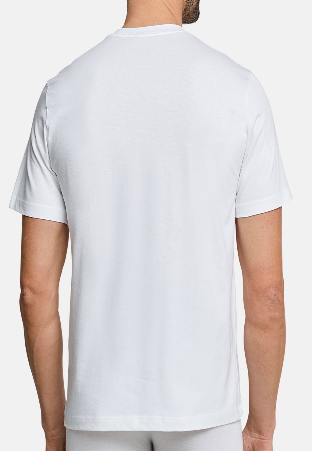 Базовый слой 4 PACK Schiesser, белый
Базовый слой 4 PACK Schiesser, белый