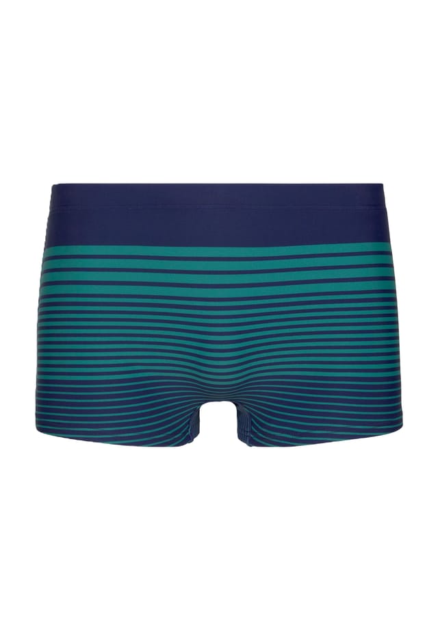 Плавки-Шорты Sander в полоску эластичные S.Oliver, синий
Плавки-Шорты Sander в полоску эластичные S.Oliver, синий