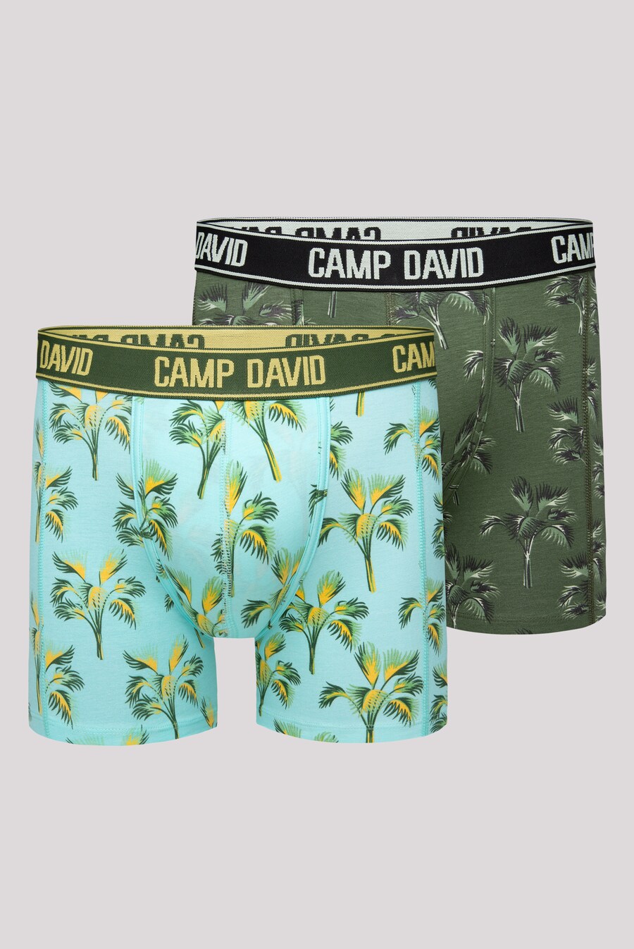 Боксеры CAMP DAVID, цвет Light blue/Olive
Боксеры CAMP DAVID, цвет Light blue/Olive